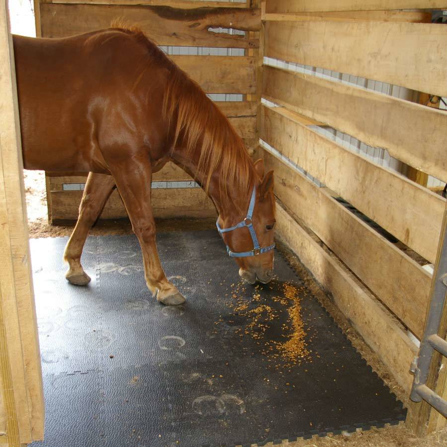 Horse Stables Flooring